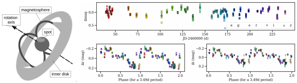 Cartoon of the inner parts of a YSO (left, not-to-scale) and example of lightcurve for a North-PHASE source (g=17.9 mag, M=0.8 M⊙, top right, colours indicate JD), folded according to period (bottom). We find a 3.49d period, stable accretion columns, a non-polar hot spot at the footprint of the column slowly changing in size and temperature over time, and a secondary, smaller, colder spot.